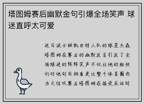 塔图姆赛后幽默金句引爆全场笑声 球迷直呼太可爱